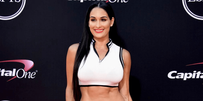 Nikki Bella ,Net Worth, Age, Husband And Ex-Husband, Children, Sister