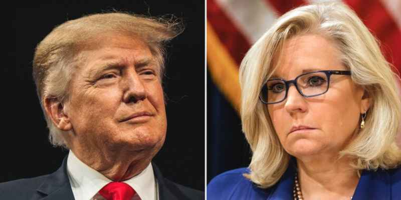 Liz Cheney Facing Trump's Back Challenge!! Encourages Wyoming Democrats To Switch Party 