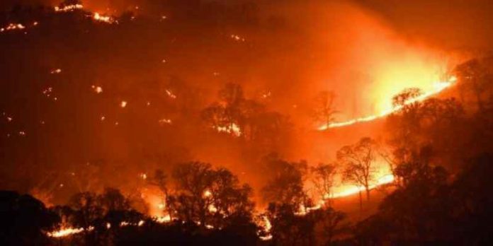 Residents-Were-Evacuated-Due-To-Fire-Broke-Out-Albany-Hill-In-East-Bay