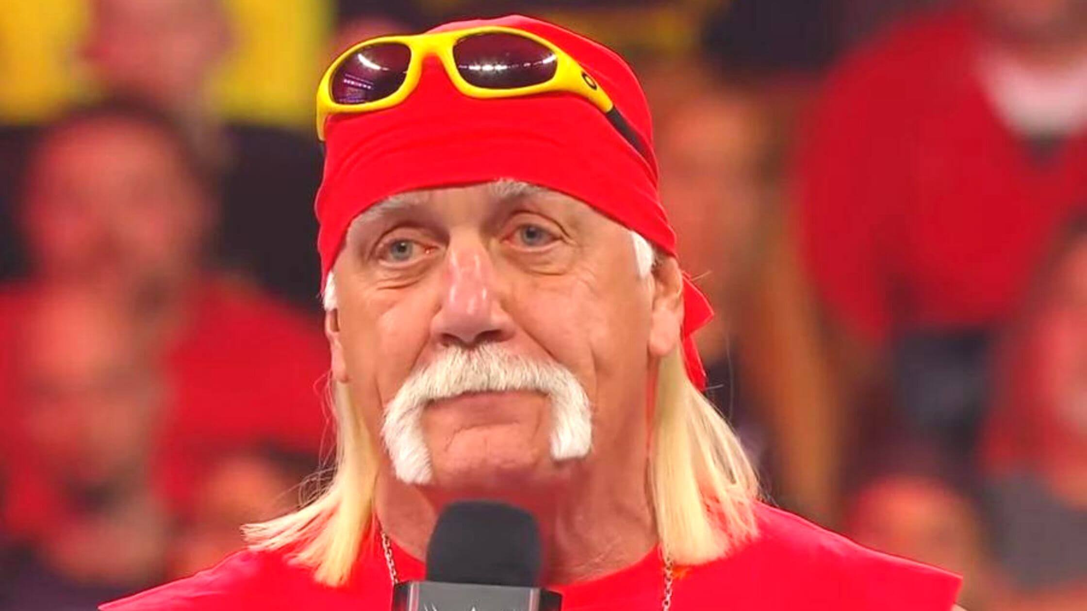 Hulk Hogan's Age, Achievements, Networth And More