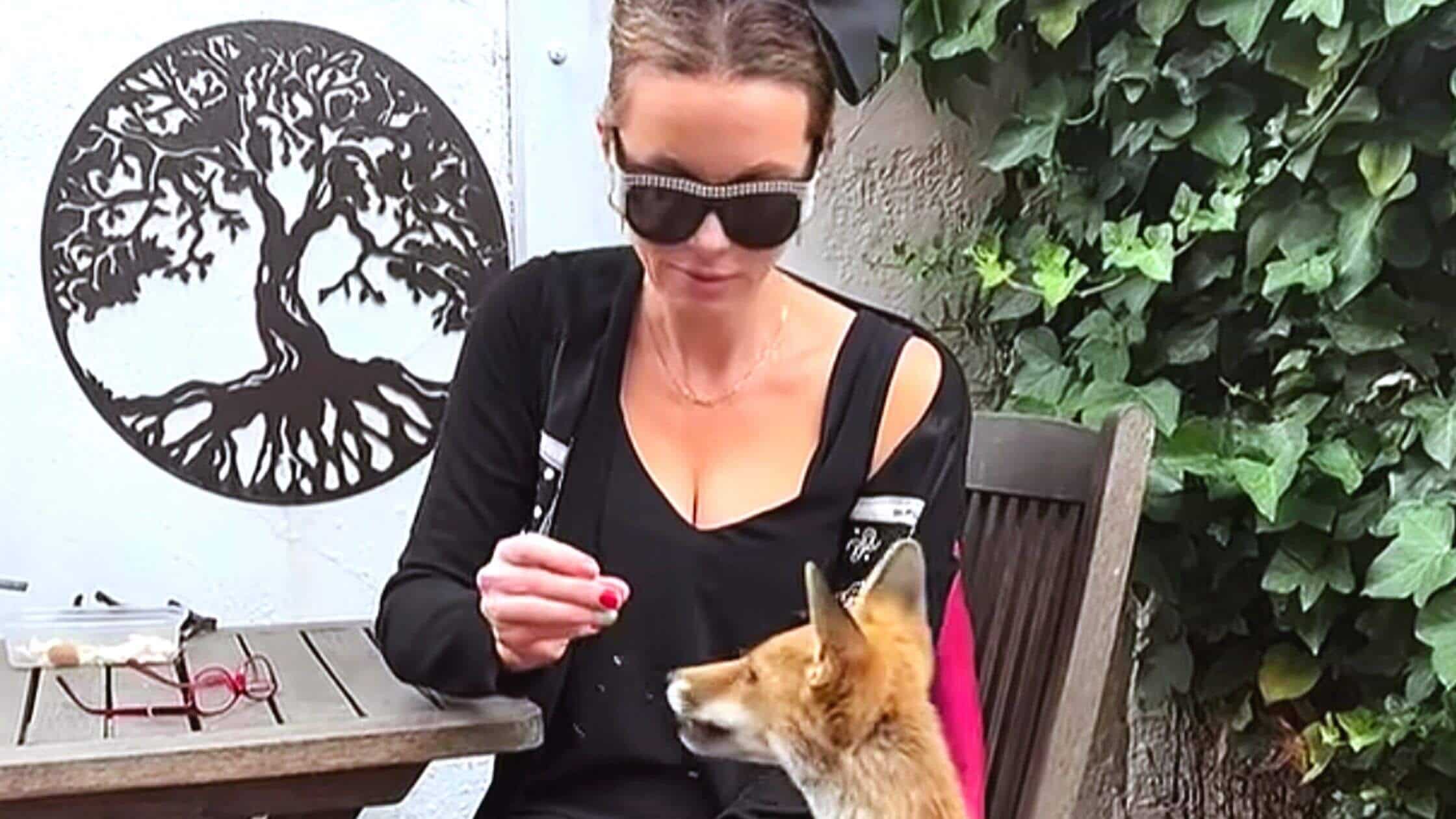 Watch Kate Beckinsale Feed A Cute Baby Fox Who Visits For "Tea"!