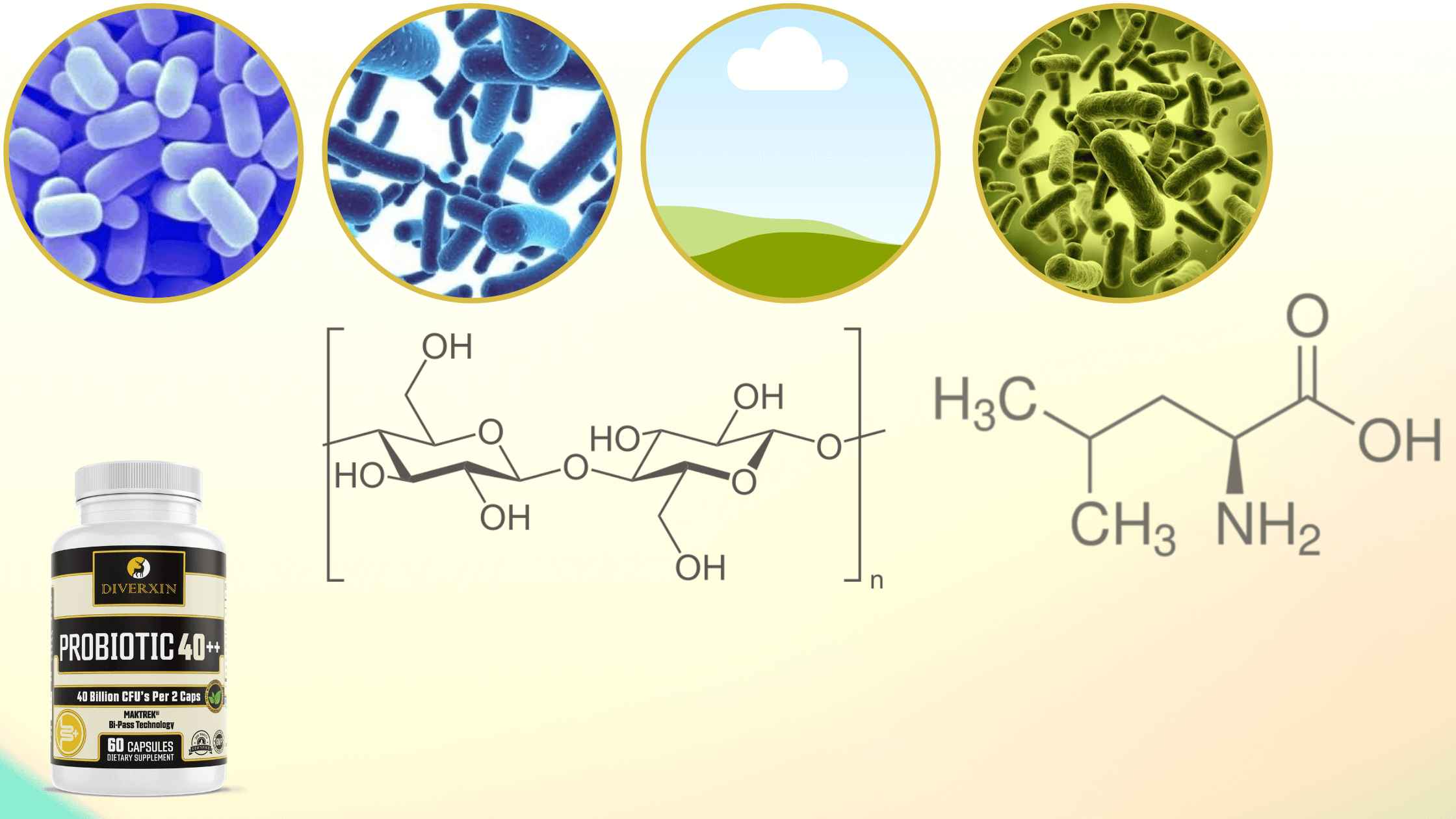 Diverxin Probiotic 40++ Ingredients