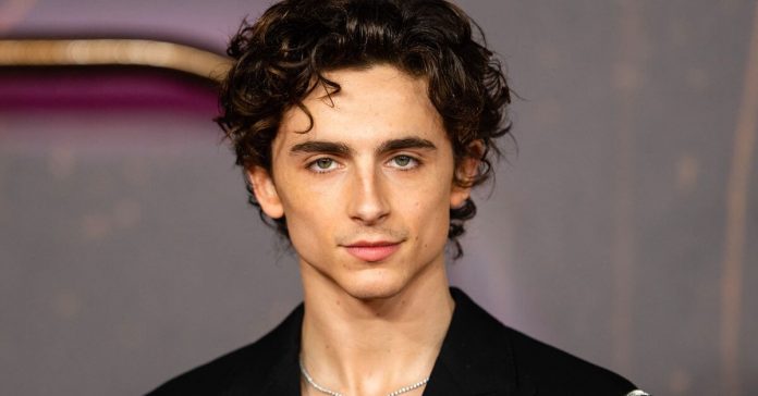 Timothée Chalamet Net Worth, House, Car, Charity, Education!