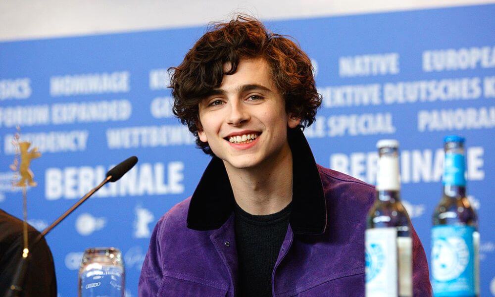 Timothée Chalamet Net worth 