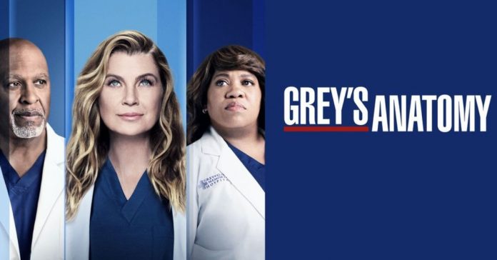 Grey's Anatomy Season 19 Release Date, Trailer, Plot, Cast