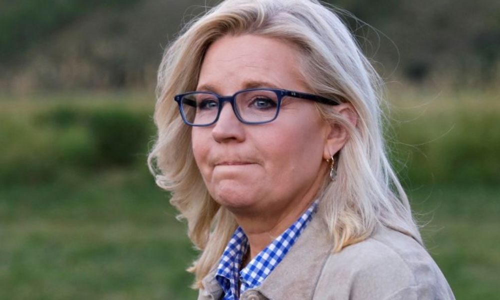 Liz Cheney Net Worth