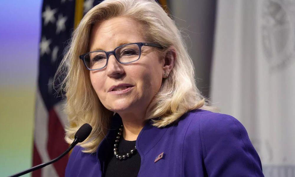 Liz Cheney Sources Of Income